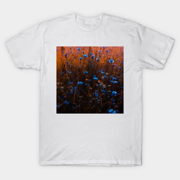 Bleu T-Shirt by Yanzo